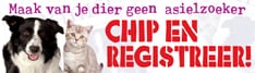www.chipjedier.nl 